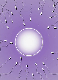 What Do You Know About Your Eggs and Ovulation?