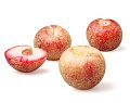 What Do You Know About Pluots?