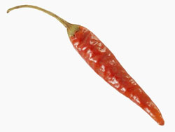 Become a Spice Girl, For Your Health