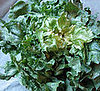 Another Way to Go Green:  Escarole