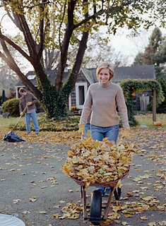 Fall Workout:  Rake Some Leaves