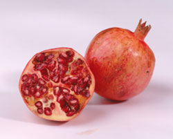 Pom Poms for Pomegranates Pom Poms for Pomegranates
