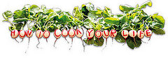 Weekend Watching: How to Cook Your Life Weekend Watching: How to Cook Your Life