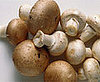 Foods to Stop Avoiding: Mushrooms