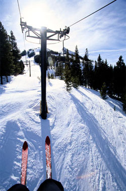 Which Snow Sport Are You Most Excited for?
