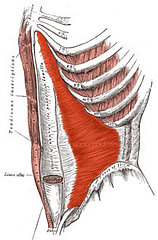 Abdominal Bracing vs. Pulling Abs in Pilates Style Abdominal Bracing vs. Pulling Abs in Pilates Style
