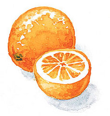 I Don't Buy It: Bitter Orange for Weight Loss