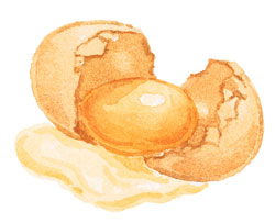 Eating Eggs Can Benefit Eye Health