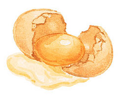 Eating Eggs Can Benefit Eye Health