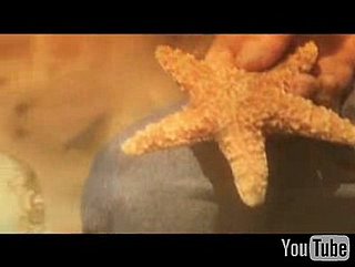 The Starfish Story