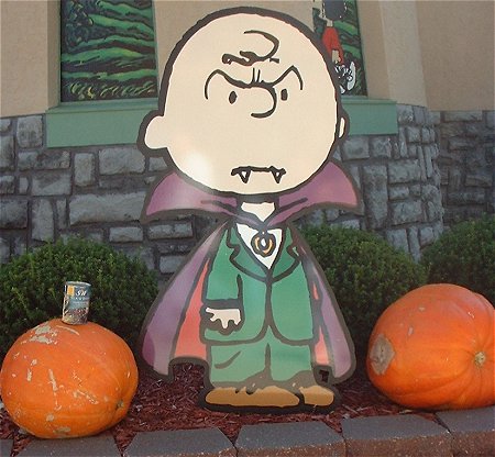Do You Still Dress Up for Halloween?