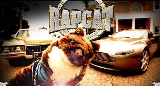 Rap Cat