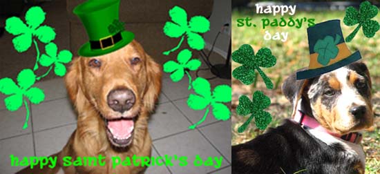 Pets of the Week!