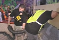 Competitive Farting: A Sign of the Apocalypse?