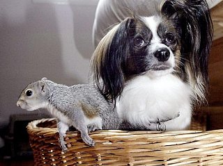 Interspecies Lovin'