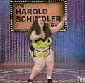 Flashback: The Gong Show