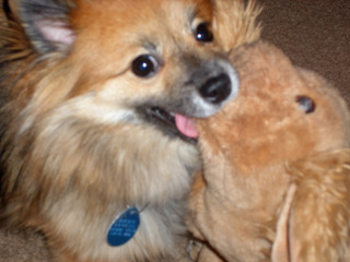 DSCF6078 DSCF6078