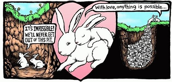 Bunny Brilliance