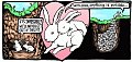 Bunny Brilliance