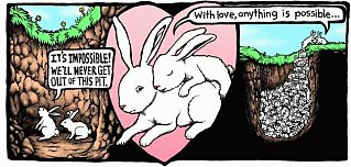 Bunny Brilliance