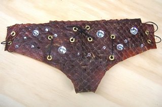 Product of the Day: Brief Jerky