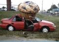 Muffin Of Death And Other Weird Accidents