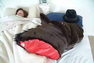 Product of the Day: Godfather-esque Horse Head Pillow
