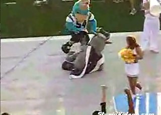 When Mascots Attack