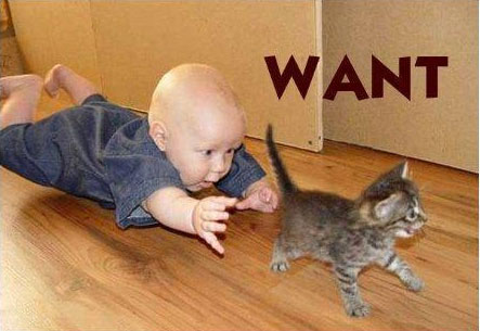 want2 want2