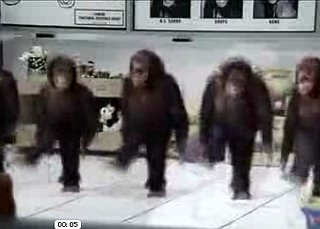 Monkeys + Riverdance = Awesome