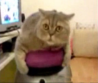 GiggleSugar Best of the Week