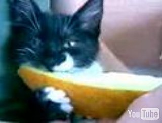 Happy Caturday!
