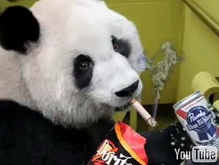 Pandas: The Dark Side