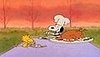 It's a Charlie Brown Thanksgiving!