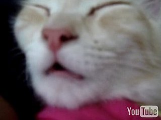 Happy Caturday!
