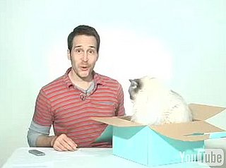Dude Gets a Robot Cat!