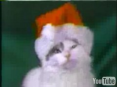 Jingle Cats, Jingle Cats...