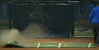 Kitten At A Baseball Game