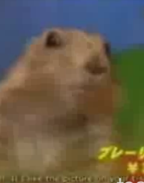 Remembering "The Dramatic Chipmunk"