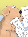 Dog Seeks Revenge