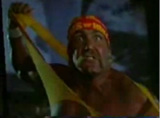 Flashback: Hogan Knows Best