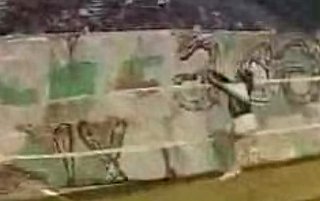 Cheerleader Involuntarily Plays Tackle Football