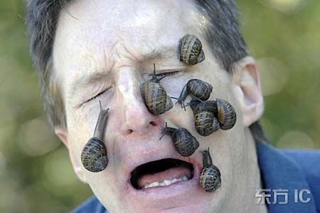 Snails01 Snails01
