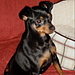 Princess Penelope-The supermodel