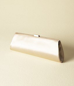 Nicole ANN TAYLOR ONLINE STORE: Satin Clutch