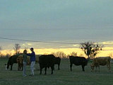 "Friday Night Lights" Recap: Episode 20, "Mud Bowl"