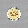 CD Review: Bright Eyes, Cassadaga
