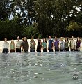 "Lost" Producers to Remind Us of Island's "Answers" Tonight