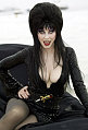 Fox Reality is Looking for the Next Elvira