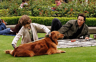 Fall Movie Preview: Family Matters